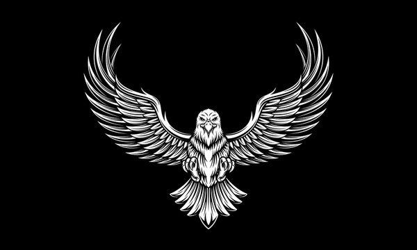 Black and white eagle with open wings vector