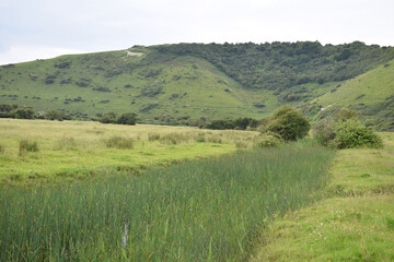 Obraz premium The South Downs at Alfriston Sussex