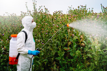 Man in protective workwear spraying ghyphosate herbicide on weeds