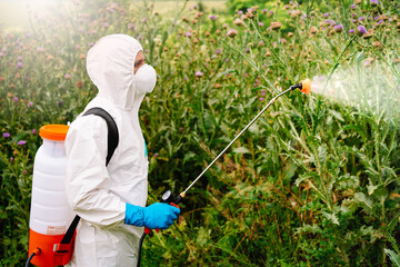 Man in protective workwear spraying glyphosate herbicide on weed - obrazy, fototapety, plakaty