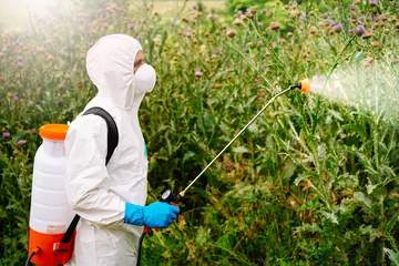 Fotobehang Man in protective workwear spraying glyphosate herbicide on weed © adrianad