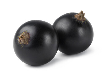 Ripe black currant isolated on white background. Fresh juicy berries.