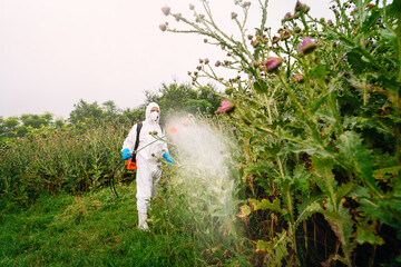 Man in protective workwear spraying herbicide on land