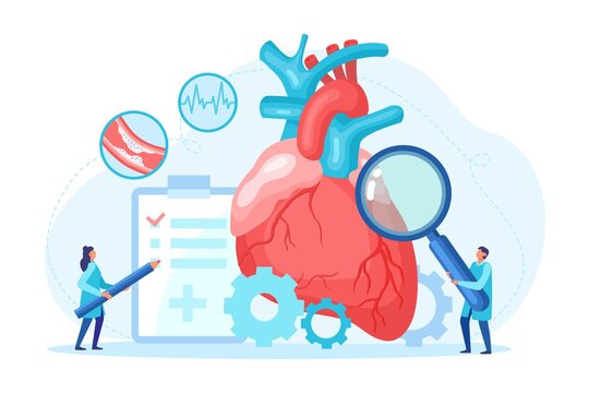 Heart health check up and tiny cardiology specialist with magnifying glass take care professional medical examination pulse cardiogram. Health care and disease diagnostic concept. Vector illustration