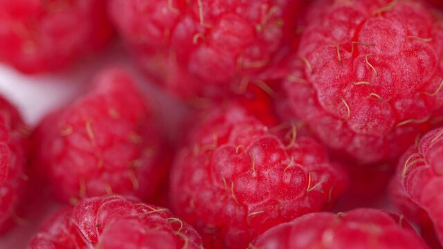 Fresh raspberry fruits as food dackground. Red raspberries, rotation.