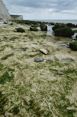 Birling Gap in Sussex