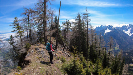 Fototapeta na wymiar A woman with hiking backpack standing at the steep mountain rim with the view on Baeren Valley in Austrian Alps. The highest peaks in the chain are sonw-capped. A few trees on the slopes. Sunny day.
