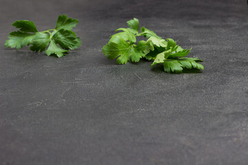 Sprigs of parsley on black.