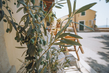 cafe on the square of a small town