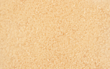 white rice (background)