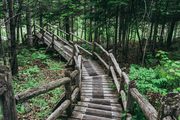 Boardwalk and hikin trail of the Canyon des Portes de l'Enfer nature park (Hell's gate Canyon), located near Rimouski in Bas Saint Laurent, Quebec (Canada)
