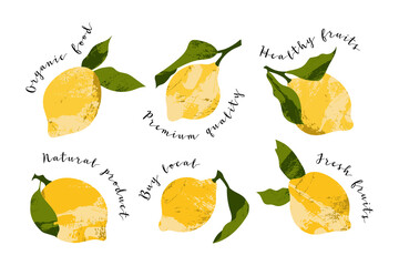 Juicy lemon. Fresh citrus fruit, healthy organic food. Ripe yellow fruits with leaves. Vector flat cartoon botanical illustration. Perfect for logo, stamp, brand, mark
