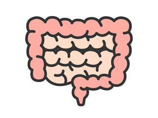 大腸と小腸のイラスト