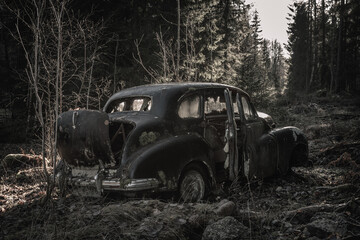 Obraz na płótnie Canvas English car from the forties left to rust in a forest in Sweden