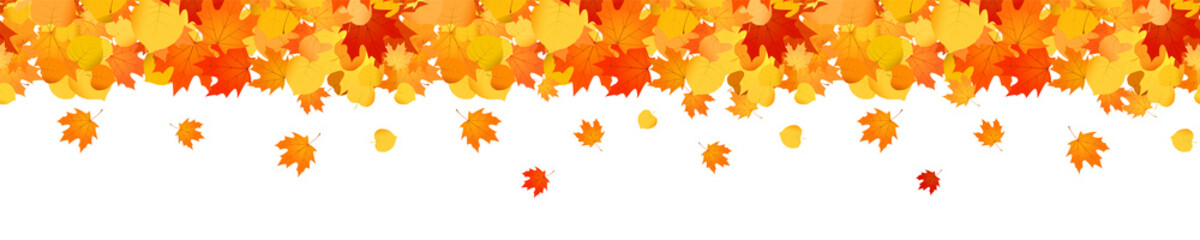 Naklejka na ściany i meble Autumn banner with falling maple leaves