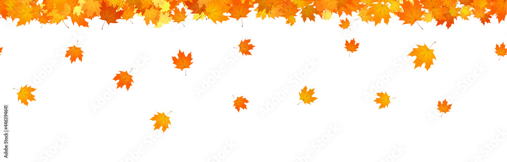 Wall mural autumn header overlay of falling maple leaves.