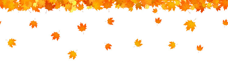 Autumn header overlay of falling maple leaves.