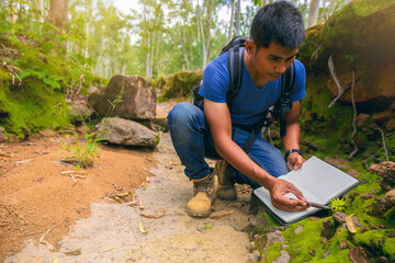 Biologist or botanist recording information about small tropical plants in forest. The concept of hiking to study and research botanical gardens by searching for information. - obrazy, fototapety, plakaty