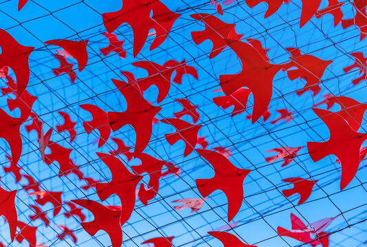 A network of red birds, pigeon, dove on a blue sky background. Peace sign and symbol.