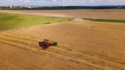 Combine harvester on the field. Grain harvesting. Transfer of grain from the bunker of the combine to the truck. Aerial photography.