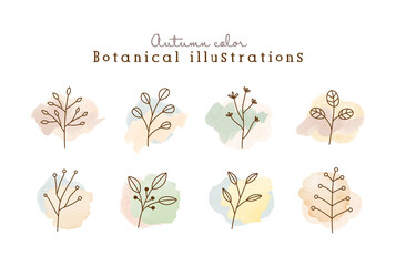 秋色の植物の線画イラストのセット　水彩　シンプル　ボタニカル　ナチュラル　葉　自然　おしゃれ