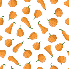 Seamless pattern of different shapes of pumpkins, background from the autumn harvest of pumpkins.