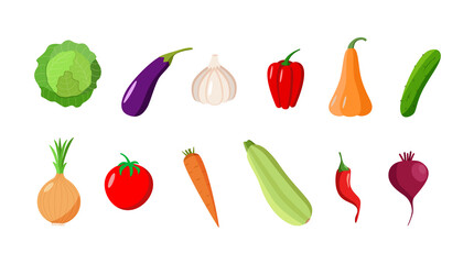 A set of different vegetables. Vector illustration of seasonal autumn harvest.