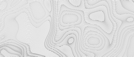 Abstract Background. Curve Digital pattern futuristic and Creative wave Movement Concept on Black and White.banner, poster,Copy Space-3d Rendering