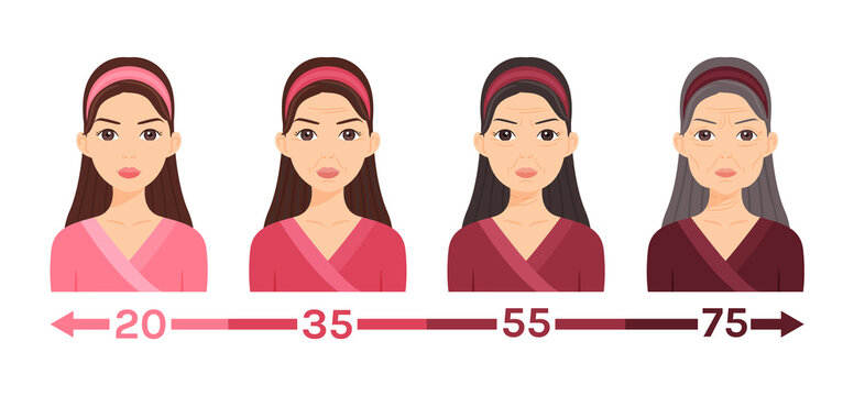 Portrait of a Young, Middle, Elderly Women. One Lady at Different Ages. Changes in the Face, Skin. Aging process. Illustration for medical design, beauty, education, health. Flat cartoon style. Vector