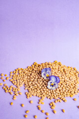 Tofu soy beans and soy milk dairy substitute vegan vegetarian minimalistic copy space negative space pastel purple bacground food style inspiration