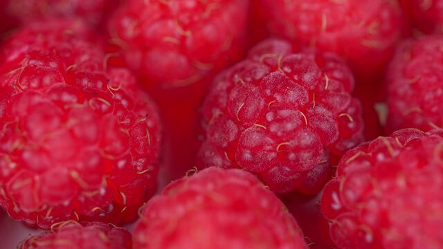 Fresh raspberry fruits as food dackground. Red raspberries, rotation.