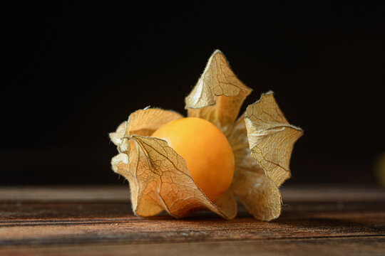 Background of Aguaymanto Peruvian GroundCherry