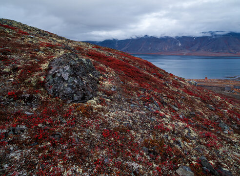 Autumn arctic landscape. Tundra on the slope of the hill. In the distance, there is a small chapel in a cemetery on the shore of a sea bay. Picturesque mountain landscape. Egvekinot, Chukotka, Russia.