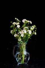 White flowers in vase against a black background