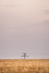 Fototapeta na wymiar Electricity pylon with power line in field and pastel colored sky. Minimalism concept with copy space. Summer rural landscape