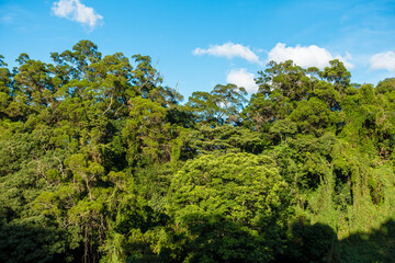 Mountains overgrown with various green tropical plants with blue sky and white clouds