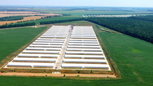Flying drone of big farm. Aerial drone view of industrial poultry farm