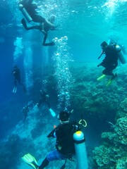 Naklejka na ściany i meble scuba diver in a reef