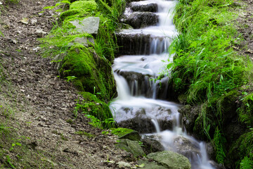 Magic forest waterfall. Cascade. Świeradów-Zdrój.