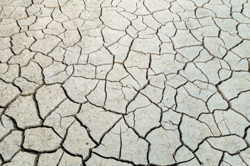 The whole land is dry and cracked