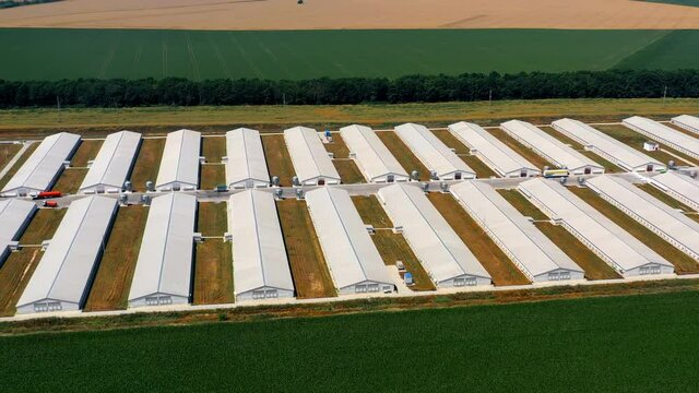 Drone view of poultry farms. Aerial view of modern poultry facility in rural area