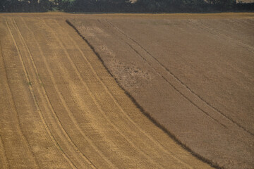 Naklejka premium Stoppelfeld