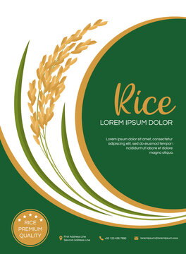 Template label and icons for rice packaging product design with green and gold paddy rice vector design