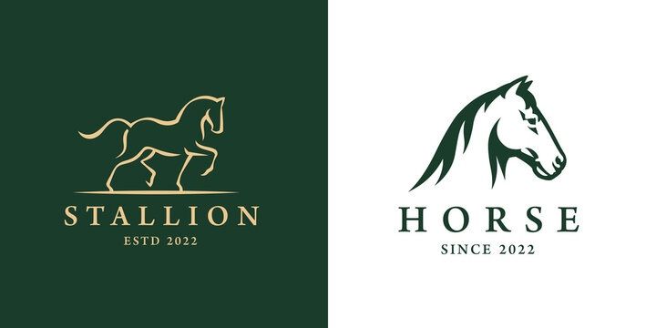 Elegant horse logo icons. Royal stallion symbol design. Equine stables sign. Equestrian brand emblems. Vector illustration.