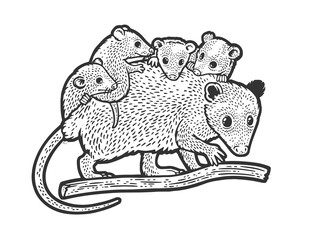 opossum mom with baby possum sketch raster