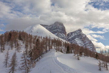 Fototapeta na wymiar Beautiful winter panorama of northern side of Mount Pelmo behind a larch forest. Fiorentina Valley, Dolomites, Italy