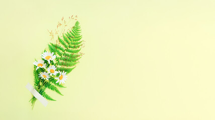 Nice little bouquet of rural chamomile flowers with fern on yellow background. Banner with copy...
