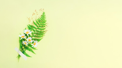 Nice little bouquet of rural chamomile flowers with fern on yellow background. Banner with copy space. Minimalistic design