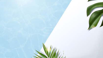 Summer swimming pool background