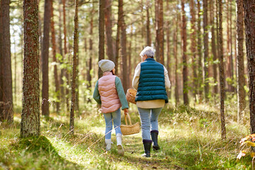 mushroom picking season, leisure and people concept - grandmother and granddaughter with baskets...